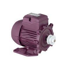 Motor elétrico monofásico especial para despolpador de açai 1/4CV 4P 127/220V B3T-E