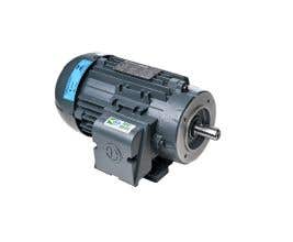 Motor trifásico com rolamento bloqueado IP55 3CV 4P 220/380/440V B34D-D