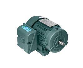 Motor monofásico standard IP55 1/3CV 2P 110-127/220-254V B3D-S
