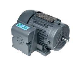 Motor monofásico IP55 1/4CV 4P 110-127/220-254V B3D-S