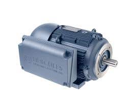 Motor monofásico standard IP55 3CV 4P 110-127/220-254V B34D-D