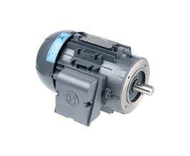 Motor trifásico com rolamento bloqueado IP55 1CV 4P 220/380/440V B14D-D