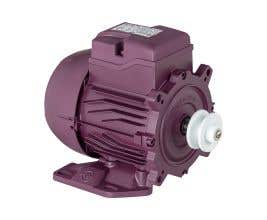 Motor monofásico especial para despolpador de açai 1/4CV 4P 127/220V B3T-E