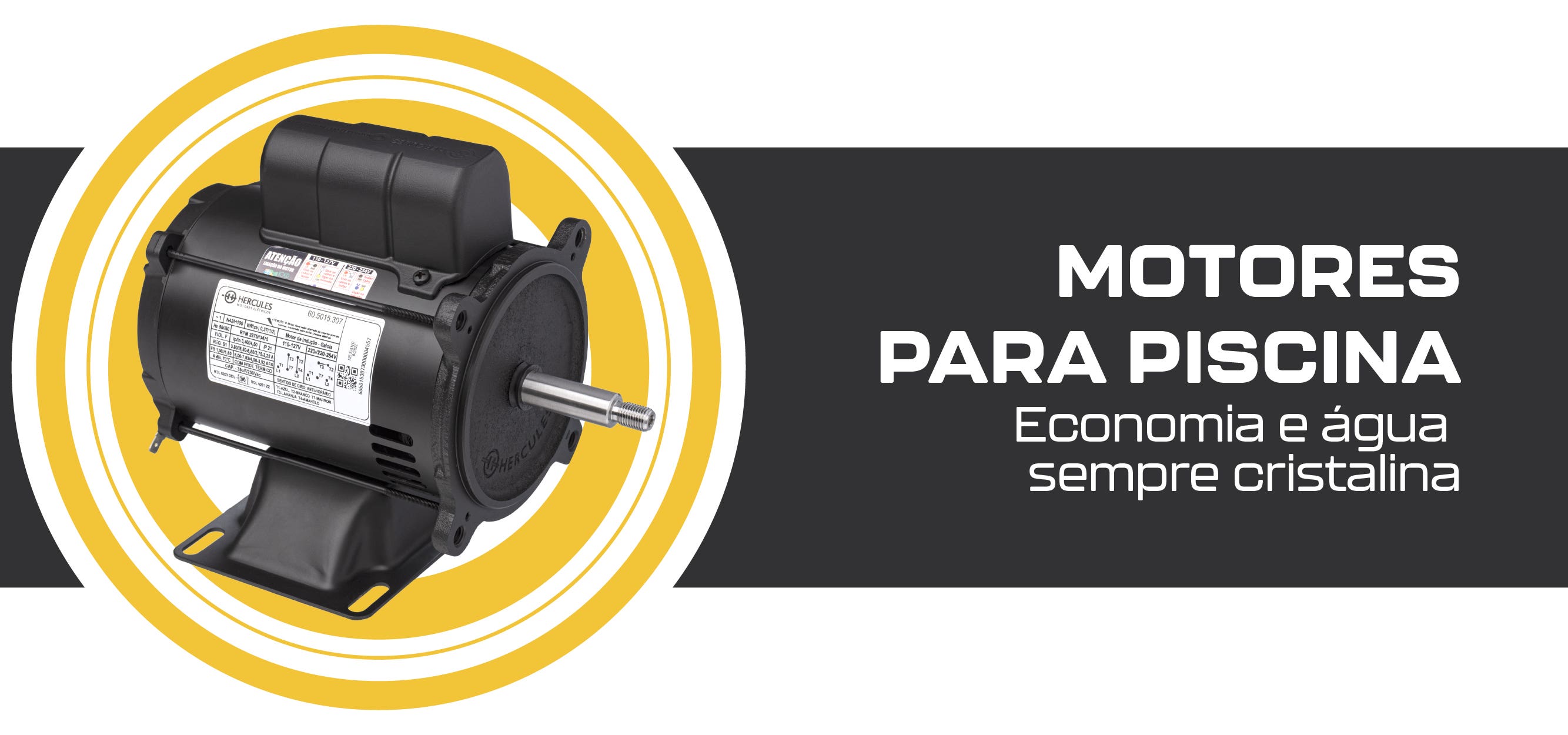 Motores para piscina