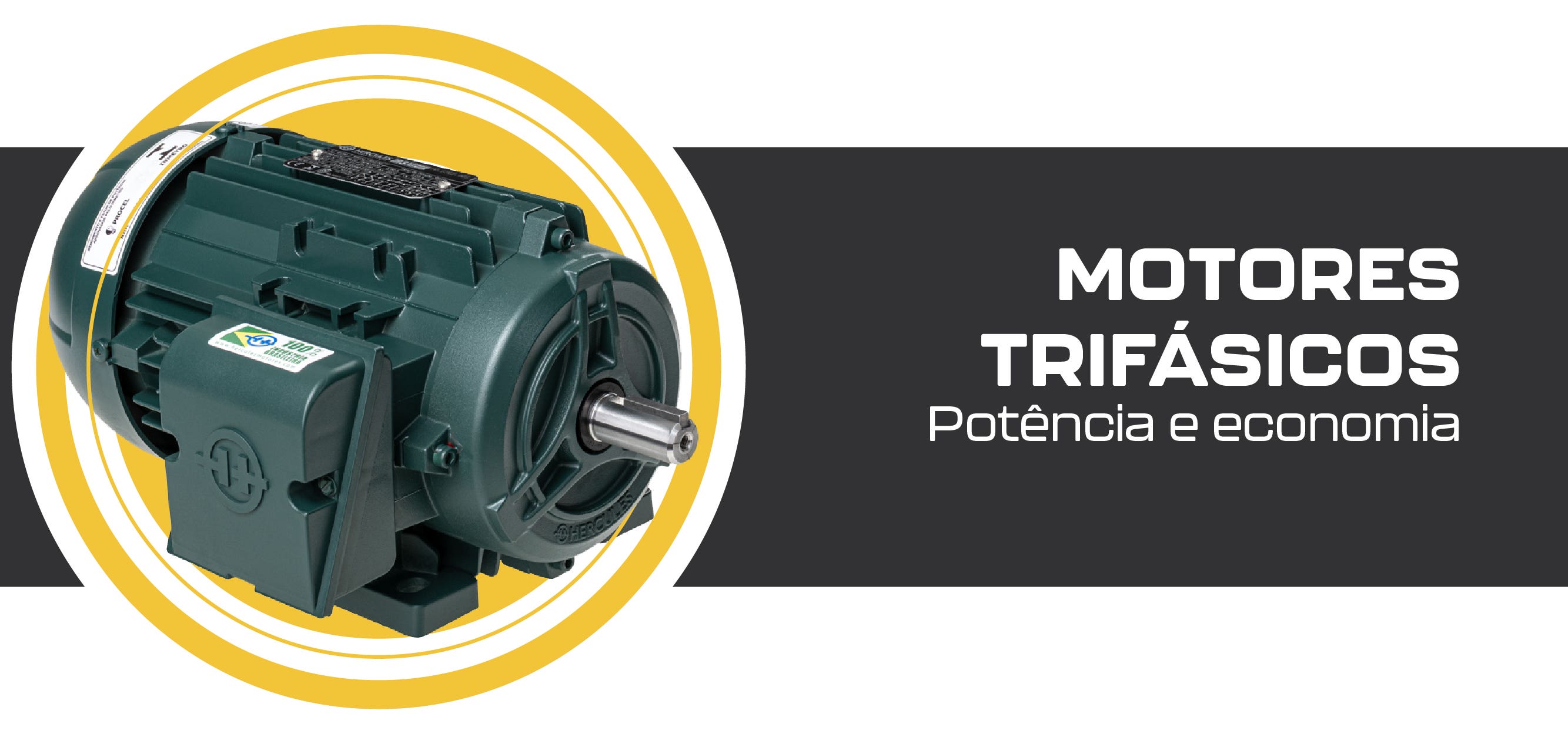 Motores trifásicos