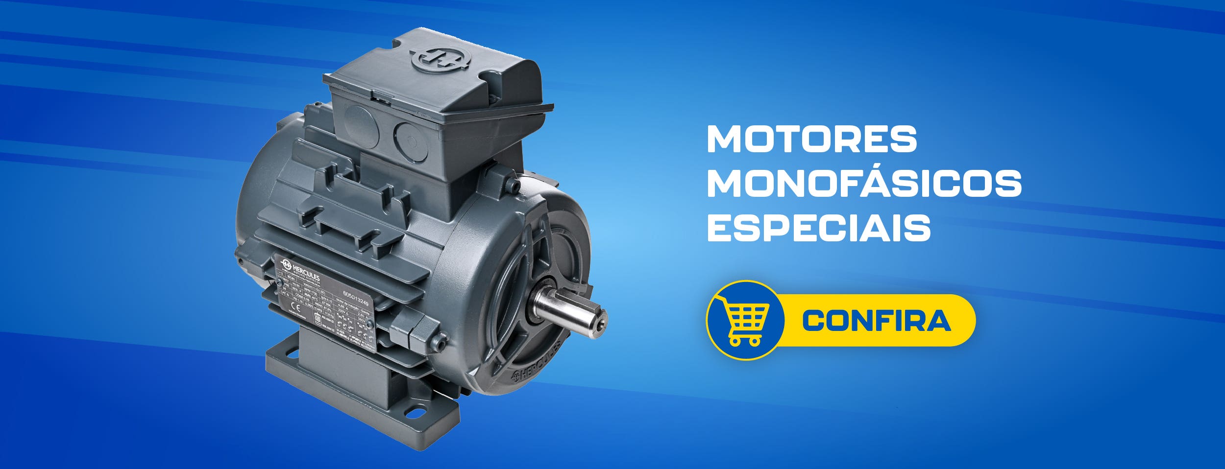 Motores trifásicos especiais